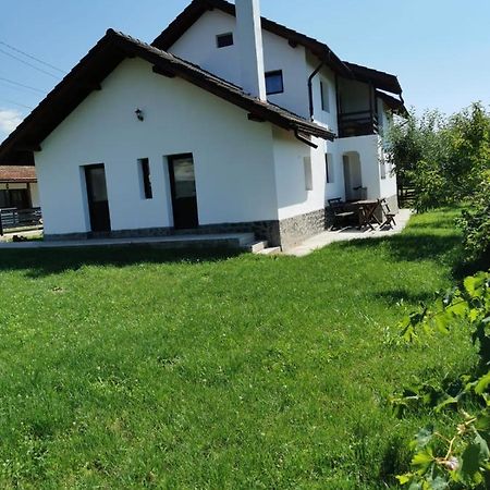Pensiunea Alina Baia de Fier Dış mekan fotoğraf