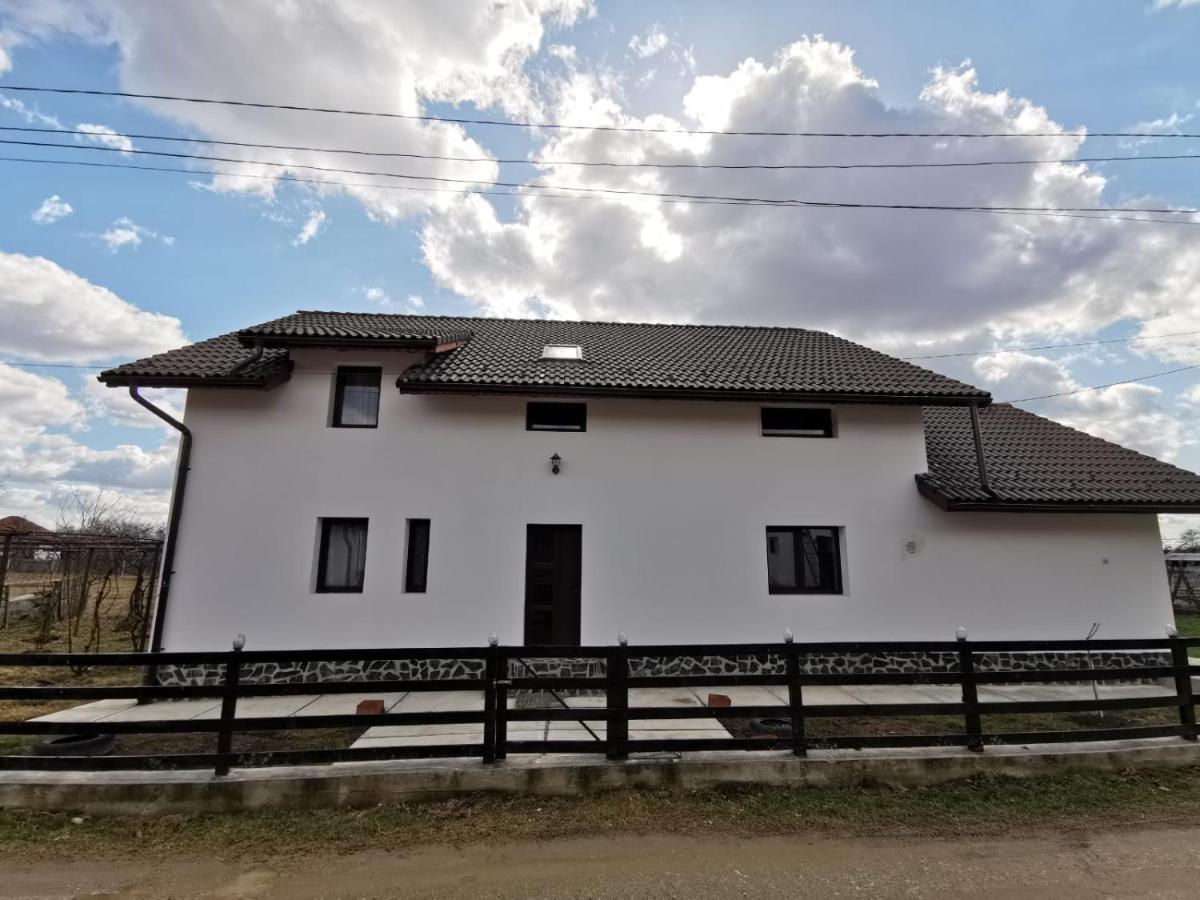 Pensiunea Alina Baia de Fier Dış mekan fotoğraf
