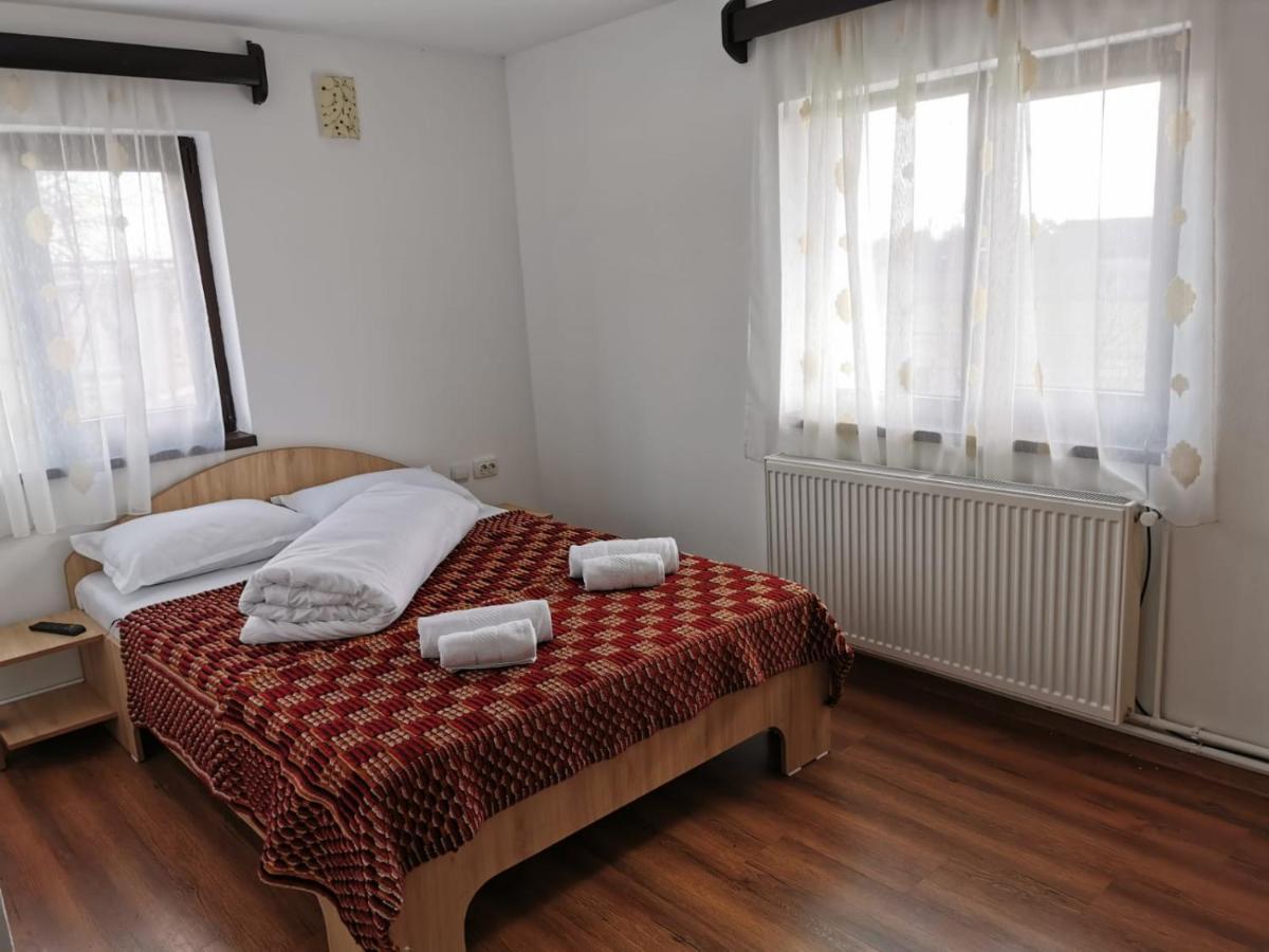 Pensiunea Alina Baia de Fier Dış mekan fotoğraf