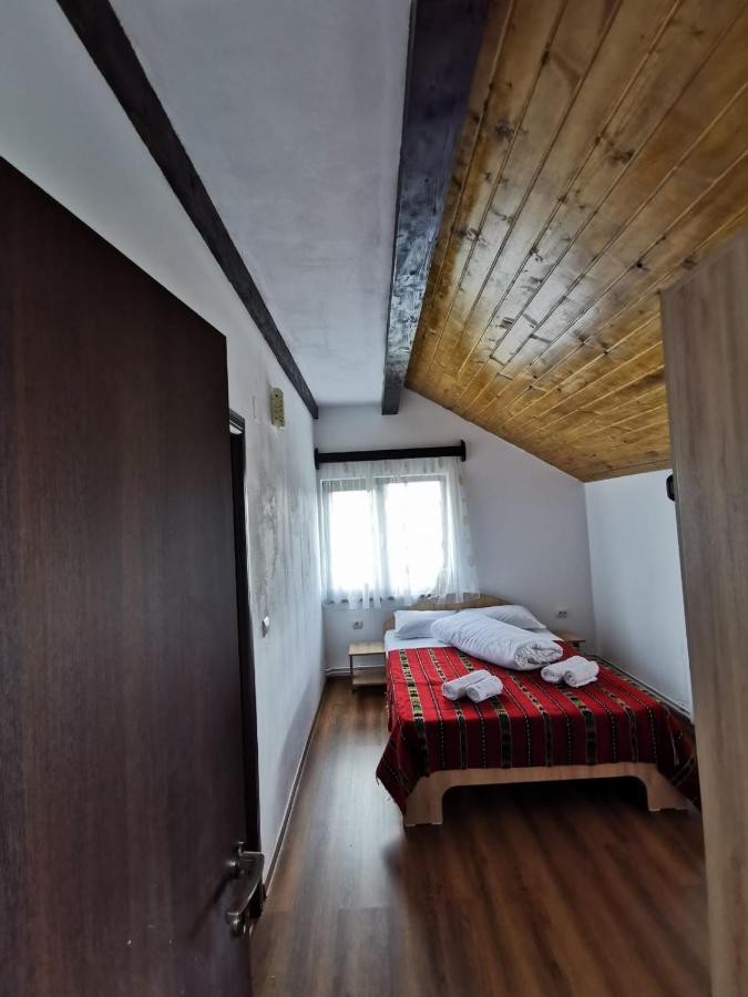 Pensiunea Alina Baia de Fier Dış mekan fotoğraf