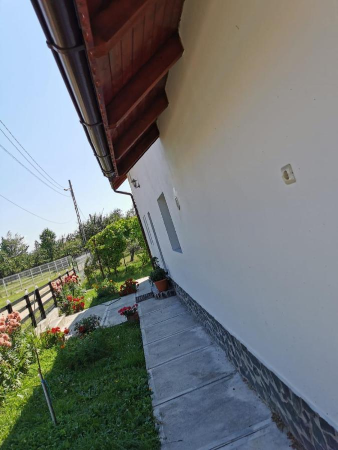 Pensiunea Alina Baia de Fier Dış mekan fotoğraf