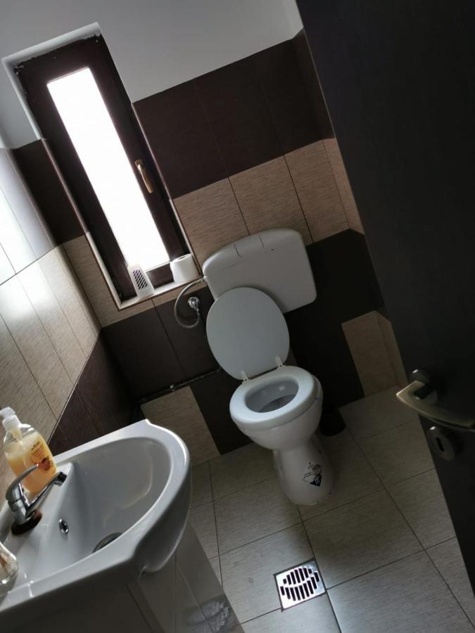 Pensiunea Alina Baia de Fier Dış mekan fotoğraf