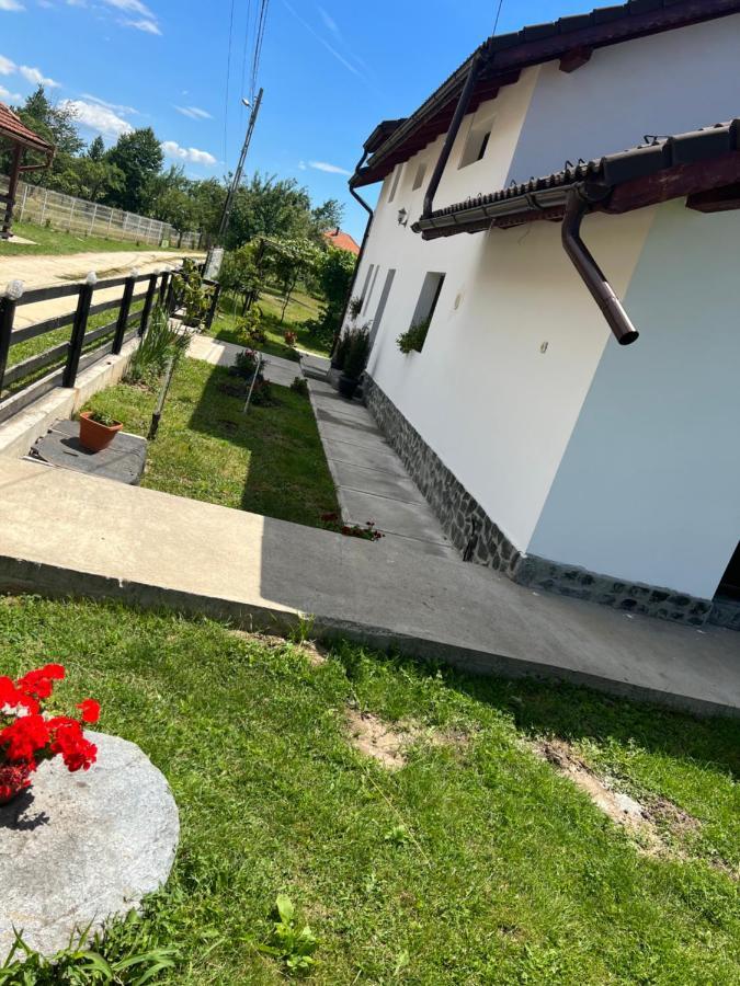 Pensiunea Alina Baia de Fier Dış mekan fotoğraf