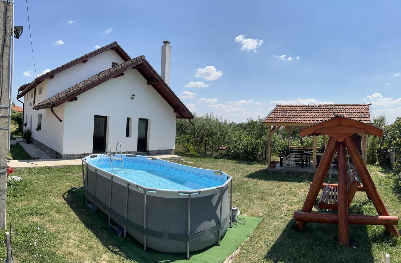Pensiunea Alina Baia de Fier Dış mekan fotoğraf